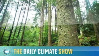 Daily Climate Show: Hot weather is now the 'new normal'