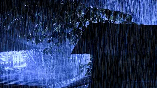 Sleep Instantly with Powerful Hurricane, Terrible Rain, Strong Winds, Heavy Thunder at Stormy Night.