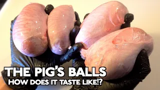 How does the Pig’s balls taste like!?