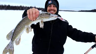 Northern Pike Ice Fishing  | Catch & Cook