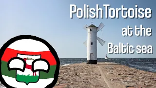 PolishTortoise in Świnoujście