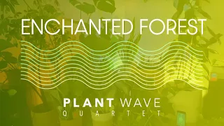 PlantWave Quartet - Enchanted Forest - Energizing Plant Music Focus