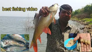 Fishing | Fish Catching | Best Fishing Techniques | Catching Rohu Fish