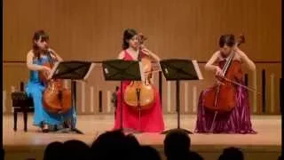歐陽娜娜Nana Ou-Yang(15) D.Popper:Polonaise de Concert, Op.14 (Cello Trio)
