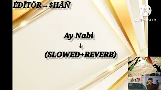 New Naat Sharif 2024 | Ay Nabi | Hafiz Hassan Anzar | Ap Ka hai Karam (SLOWED+REVERB)