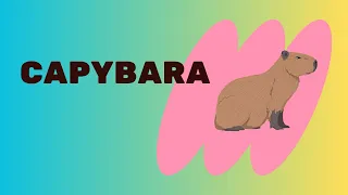 CAPYBARA