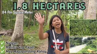 #Vlog18 | 1.8 HECTARES | 90 % Flatland | Nakaka 1,000 Kabuong Nyog (Every Month) 🌴 | 1.5 Million