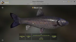 Russian Fishing 4 Bear Lake Black Carp, Common, Leather, and Grass 1-31-21