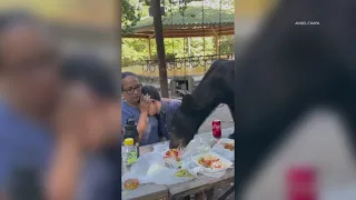 Mom protects son from bear crashing dinner in the park