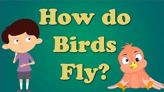 How do Birds Fly? | #aumsum #kids #science #education #children