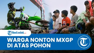 Momen Warga Nonton MXGP Lombok 2023 dari Atas Pagar Pembatas hingga Pohon
