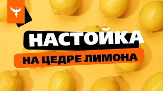 рДЖ 77: Настойка на цедре лимона 🍋 Свежая цедра VS сухой. Какая лучше ❓