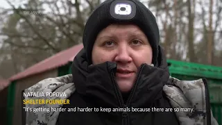 Volunteer saves wild animals from Ukraine frontline