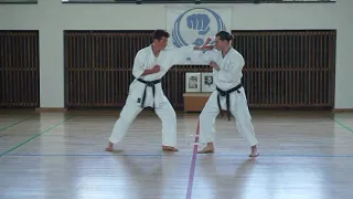 Wado Ryu Kihon Kumite 1 - 10, Christina Gutz and Niko Utriainen