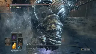 Dark Souls 3 - NG+100 Challenge Run Complete World First