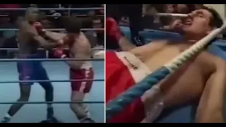 John Fury (Tyson dad) knocked out by Henry Akinwande and Steve Garber (Usyk team be happy)