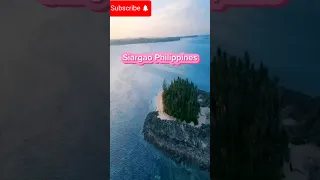 SIARGAO 2024! The Dream Island Destination in the Philippines #shorts #shortvideo #travel #siargao