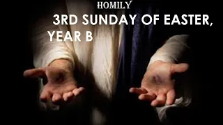 Homily for the Third Sunday of Easter, Year B (April 14,2024)