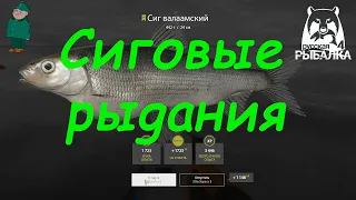 Русская рыбалка 4. Спиннинг  на Ладоге. Сиг и рипус на вэки.