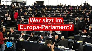 Wer sitzt im EU-Parlament? | Simplicissimus | Europa-Spezial