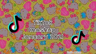 TikTok Mashup January 2021|indie mashup