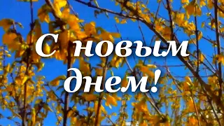 Цените жизнь! Музыкальная открытка с добрым утром