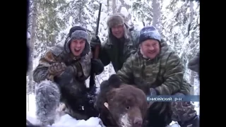 Охота на медведя.Различные кадры выстрелов.