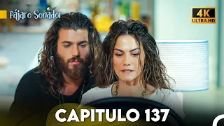 Pájaro Soñador Capítulo 137 (Doblado En Español 4K)