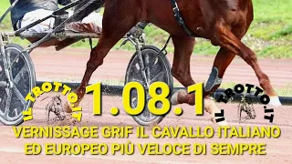 VERNISSAGE GRIF NEW EUROPEAN RECORD ⏱️ 1.08.1 - GRAN CRITERIUM DE VITESSE