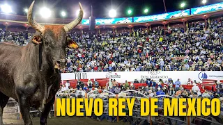TORO CAMPEÓN DE R. SAN MIGUEL GANO 100 MIL PESOS Torneo Nacional de Toros El Rey de Mexico 2024