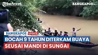 Bocah 9 Tahun Diterkam Buaya Seusai Mandi di Sungai Batang Masang