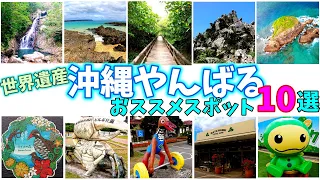 【沖縄やんばる】世界自然遺産　おすすめスポット10選　パワースポットや絶景【ちむどんどん】