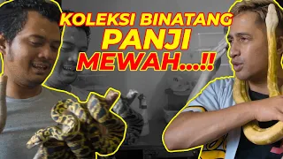 GA SANGGUP LIAT KOLEKSI BINATANG PANJI..! BUBAR JALAN GUYS.. | feat Panji Petualang