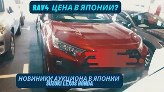 Чумовая цена  на новый  RAV4  на аукционе в Японии и не только. LEXUS , SUZUKI,HONDA