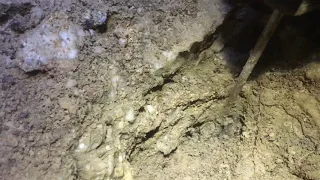 Mining phantom quartz in NH