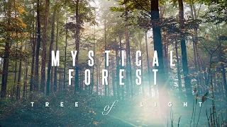 Mystical Forest 🌳 Magical Elven Voice | Rainstick & Tibetan Bowls Meditation Music