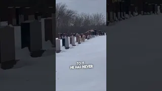 This dog knew exactly where his grandma’s grave was ❤️