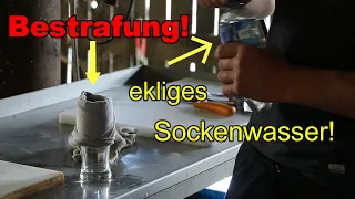 Wer fängt den größten Barsch in der Müritz? Achtung!! Dieses Video ist nichts für schwache Nerven!!