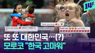 대한민국 축구 대표팀 인스타에 아랍어 댓글이 계속 달리는 이유 (feat. 모로코) / 14F