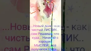 Удачного дня воскресенья и приятных выходных в любую погоду!!