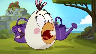 Angry Birds Toons w Spongebob Music Ep48: Shrub It In