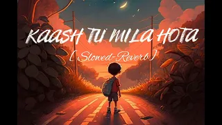 Kaash Tu Mila Hota [Slowed + Reverb] Lofi Midnight"Jubin Nautiyal "Lofi Song #lofi #jubinnautiyal
