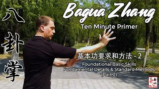 Bagua Zhang Ten Minute Primer - Foundational Basic Skills (Part 2)