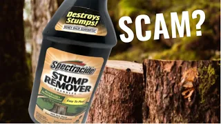 Do Stump Remover Products Actually Work?