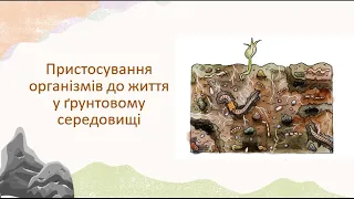 Пристосування організмів до життя в ґрунтовому середовищі