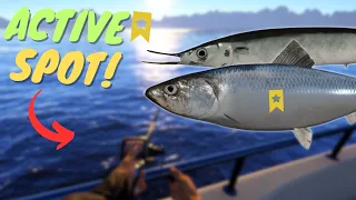 SILVER & SKILL SPOT + TROPHY! #870 Russian fishing 4