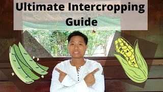 Ultimate Intercropping Guide (Gabay sa pag tabi-tabi ng mga tanim)