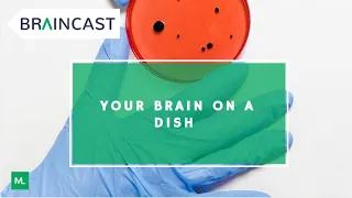 Your brain on a dish…stem cells in Psychiatry!