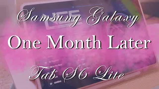 Samsung Tab S6 Lite after One Month | What I like, and don't like, about the Galaxy Tab S6 Lite