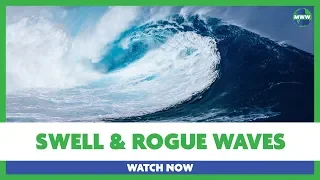 Swell & Rogue Waves